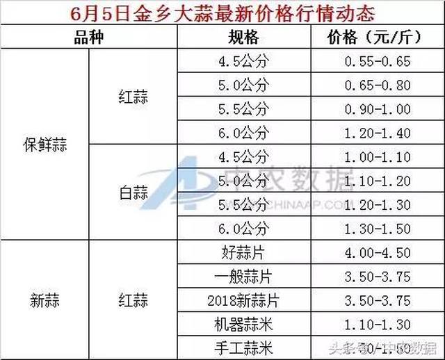 金乡蒜片最新价格及市场走势与影响因素深度解析