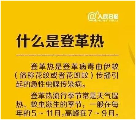 广东登革热最新动态，全面防控，人民健康保障行动启动