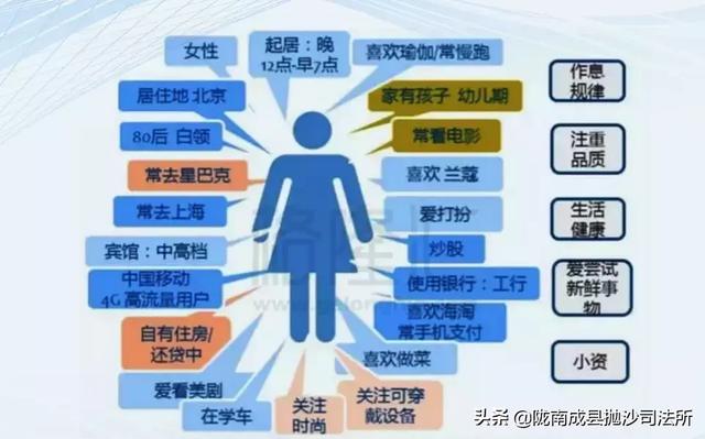 2024新奥资料免费精准175,深入数据应用执行_kit53.355