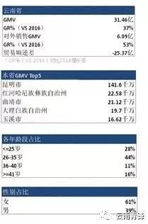 204年澳门免费精准资料,数据资料解释落实_Surface46.389