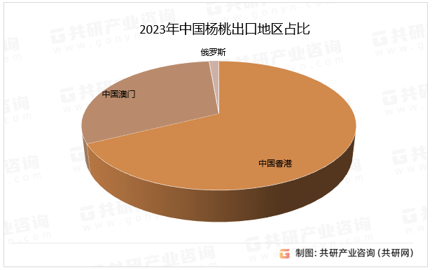 澳门水果奶奶,统计分析解析说明_精装款28.819