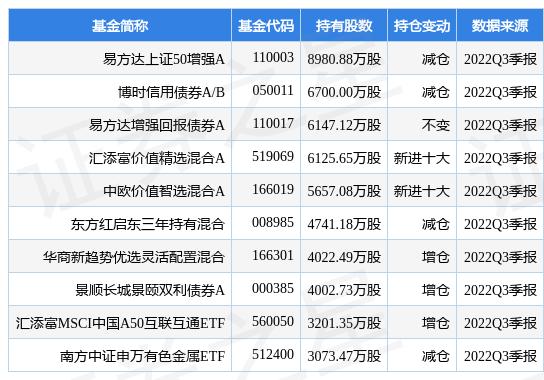 最新上市股票全景解析，市场新力量崛起