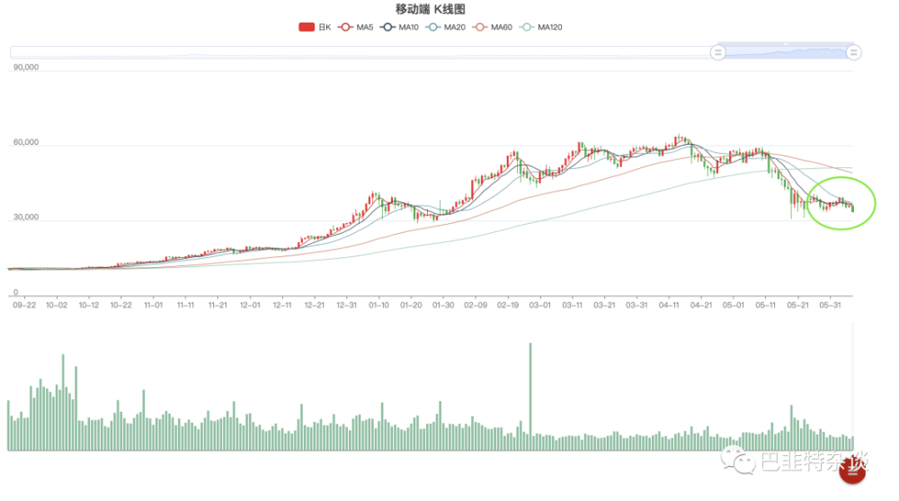 BCH最新价格动态与市场深度解析