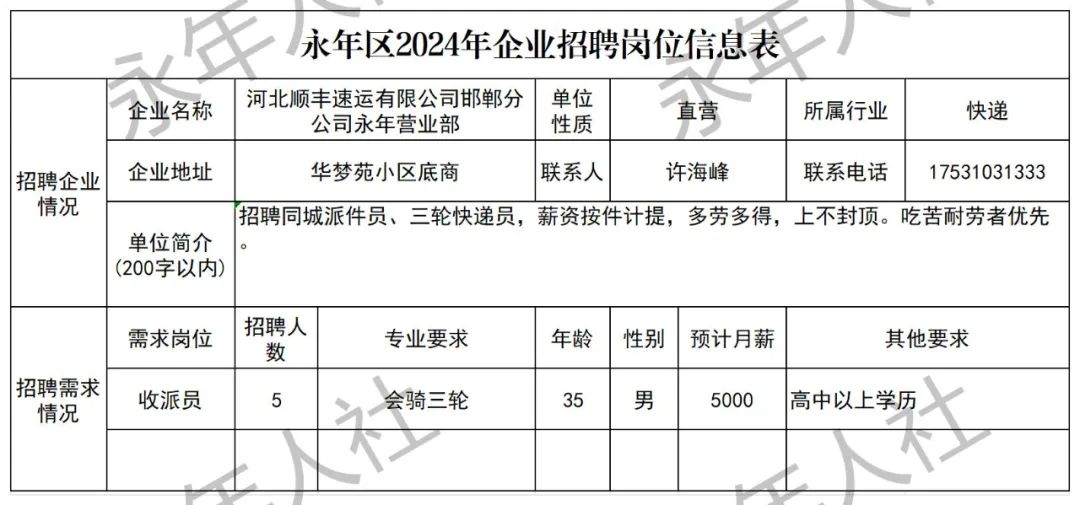 永城信息港最新招聘动态深度解读与分析