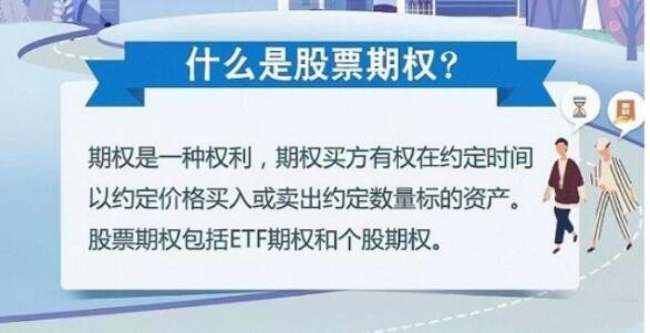 期权市场最新动态解析，趋势分析与未来展望