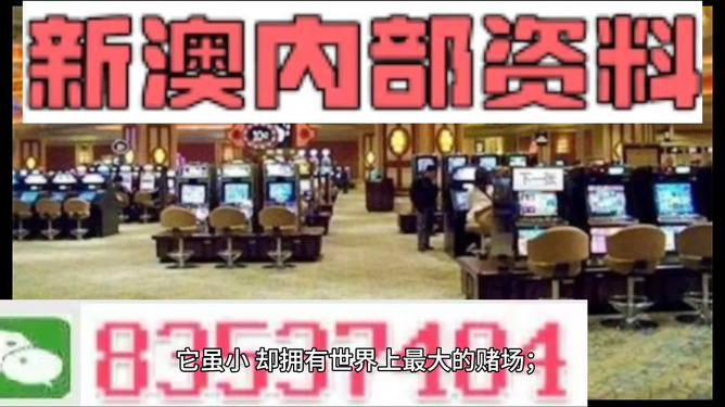 2024新澳精准资料免费提供,澳门内部,确保问题解析_理财版36.781