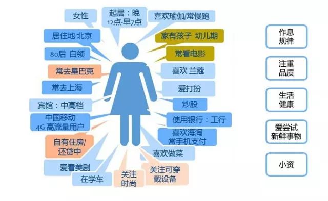 2024新澳最精准资料大全,深入数据解释定义_V297.917