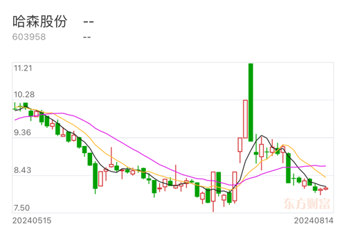 哈森股份最新动态全面解析