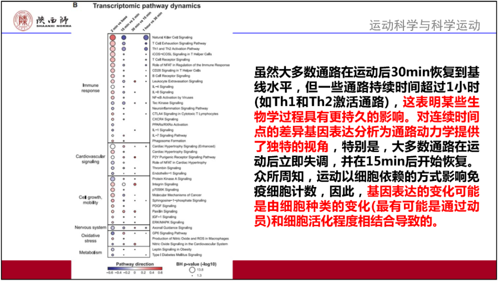 新澳2023年精准资料大全,实证解读说明_AP53.926