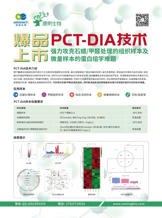 新澳2024年正版资料,数据整合方案实施_6DM170.21