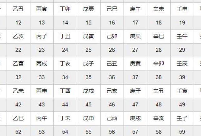 2024十二生肖49码表,现状解答解释定义_pack57.52