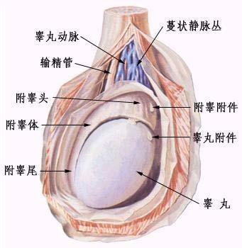 半夏微澜ぺ 第5页