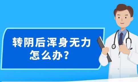 新澳精准资料大全免费更新,全面实施数据分析_专属款51.385