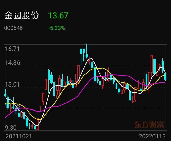 金圆股份最新动态全面解读