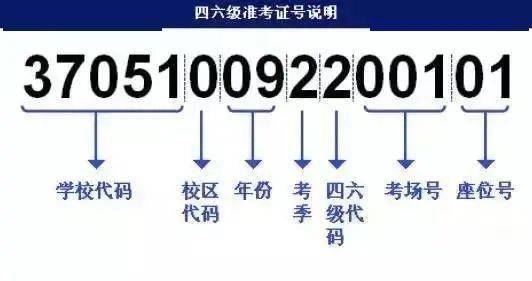 最准一码一肖100%凤凰网,快速解答计划设计_The19.620