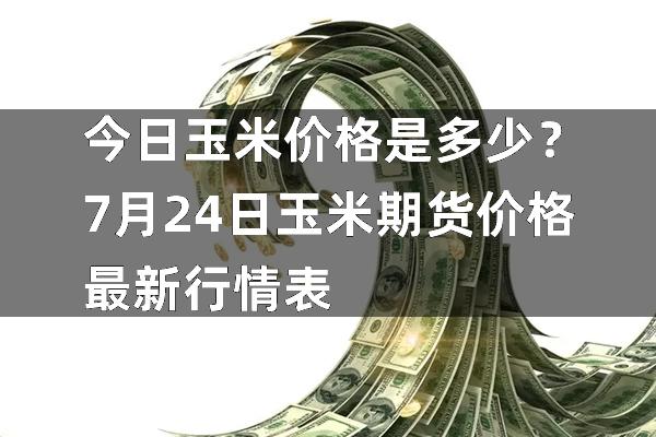 玉米最新价格行情分析今日报告