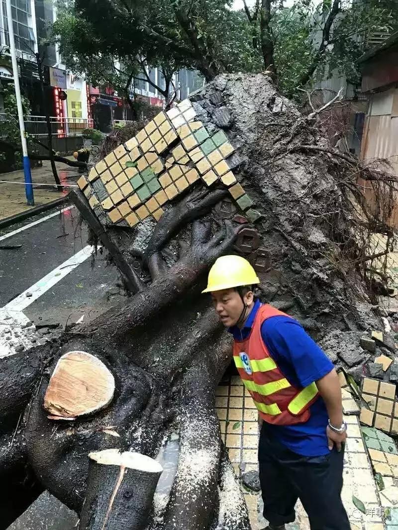 台风深圳最新动态，全方位应对与实时关注