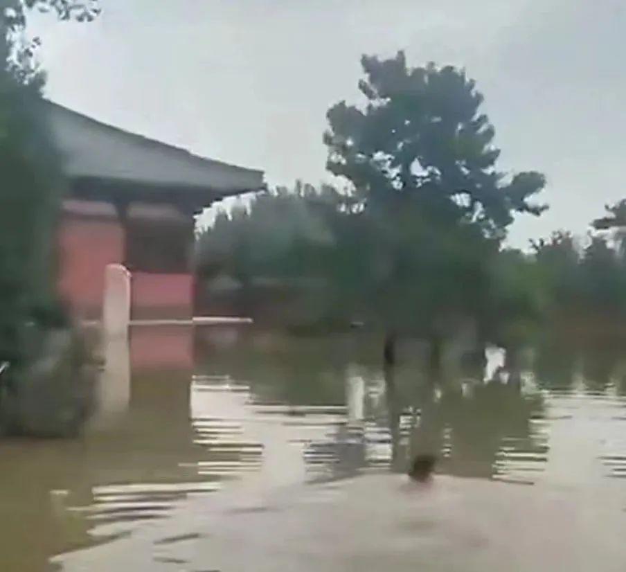 河南暴雨全力应对灾情 保障人民生命财产安全最新消息