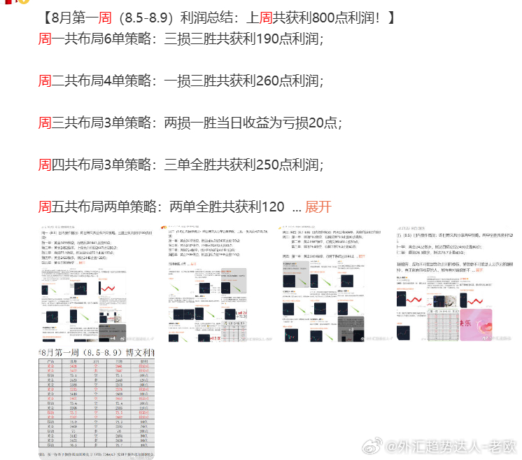 澳门王中王四肖中特,稳定性操作方案分析_P版82.689