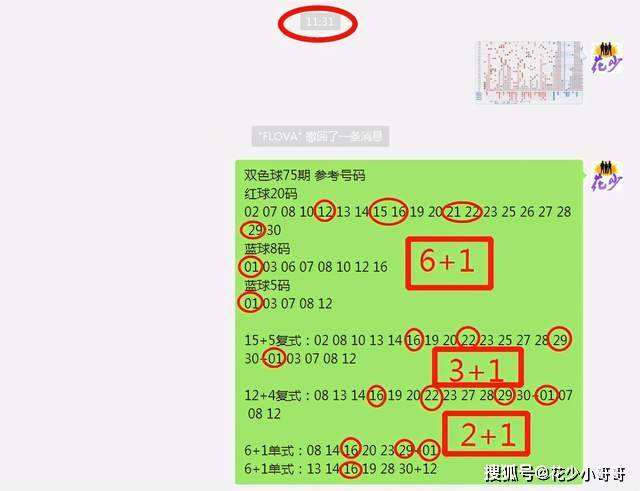 白小姐今晚特马期期准六,适用解析方案_云端版30.869