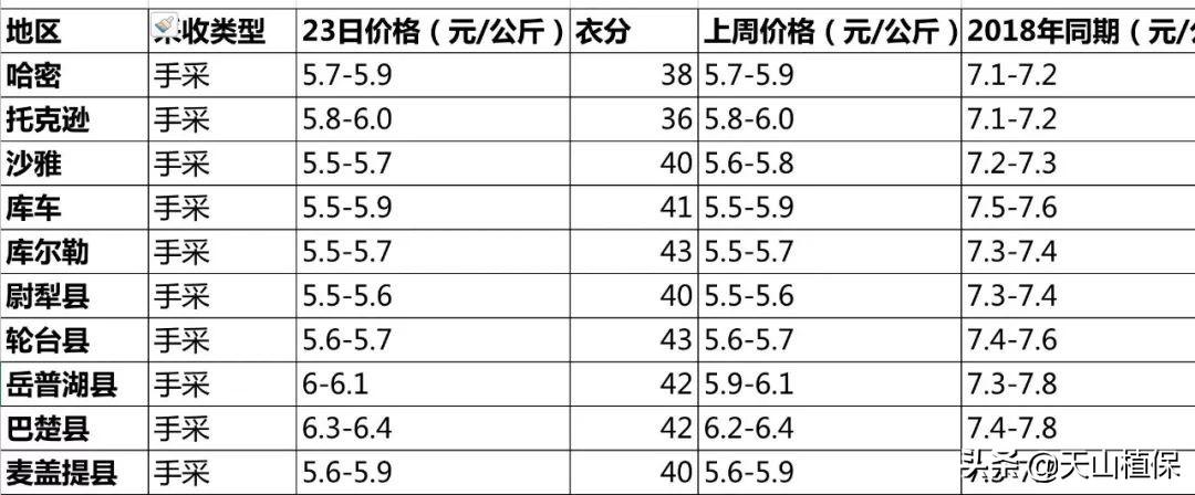 籽棉价格最新行情深度解析