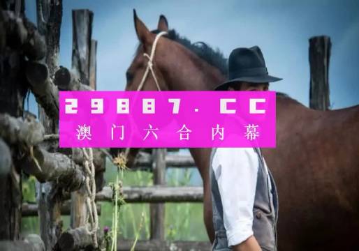 新澳门内部资料精准大全2024,创新策略解析_限量款96.660