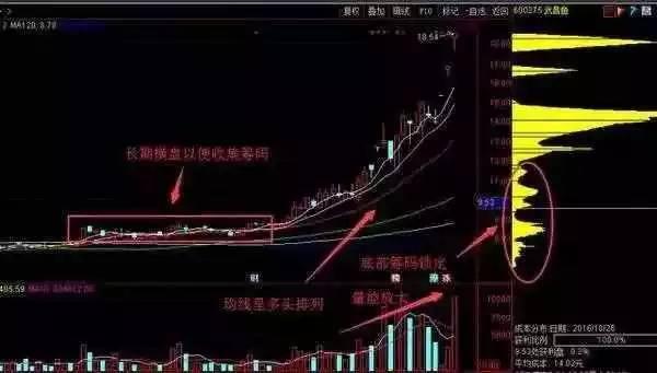 澳门今天晚上特马开什么,深层设计解析策略_豪华款15.102