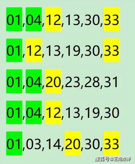 一肖一码一一肖一子,实地验证分析数据_C版81.901