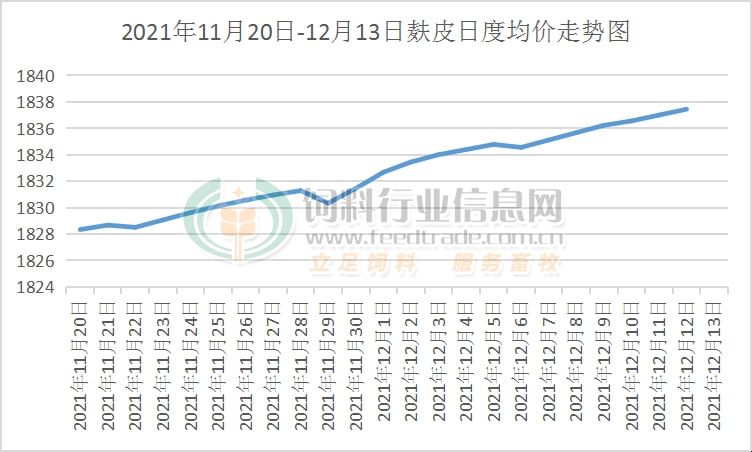 山东麸皮价格最新行情解析