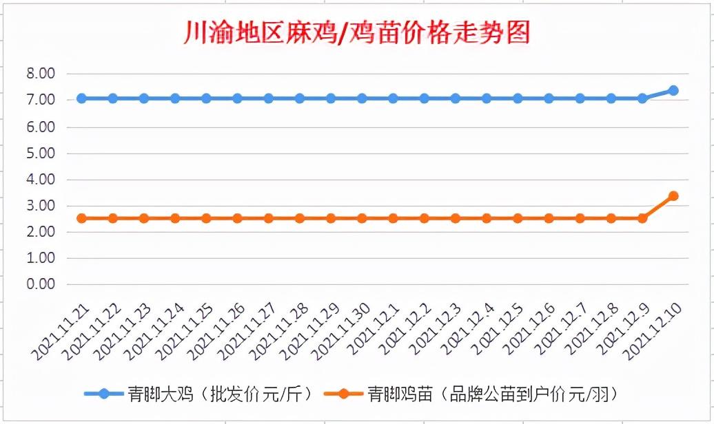 山东麻鸡今日最新价格走势分析