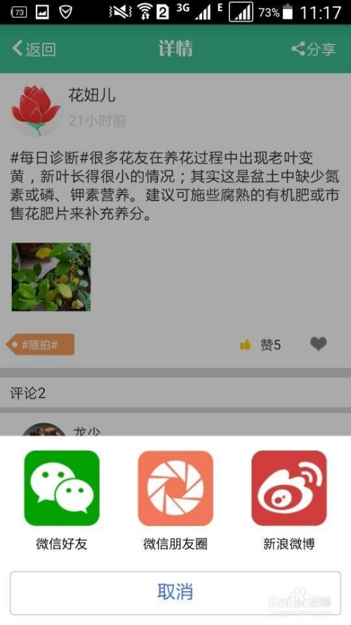 花开app探索之旅，最新版下载指南与独家体验分享