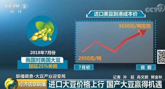 颜夕の未歌 第3页