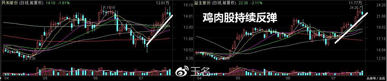 益生股份最新动态全面解读