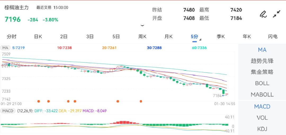 棕榈期货最新动态，市场走势分析与未来展望