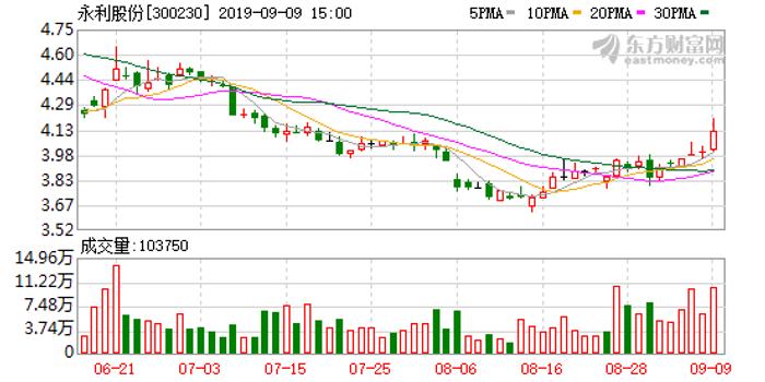 永利股份最新公告深度解读与剖析