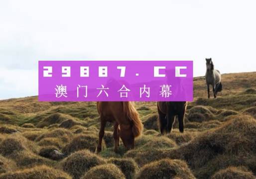 2024澳门买马最准网站,动态调整策略执行_探索版29.305