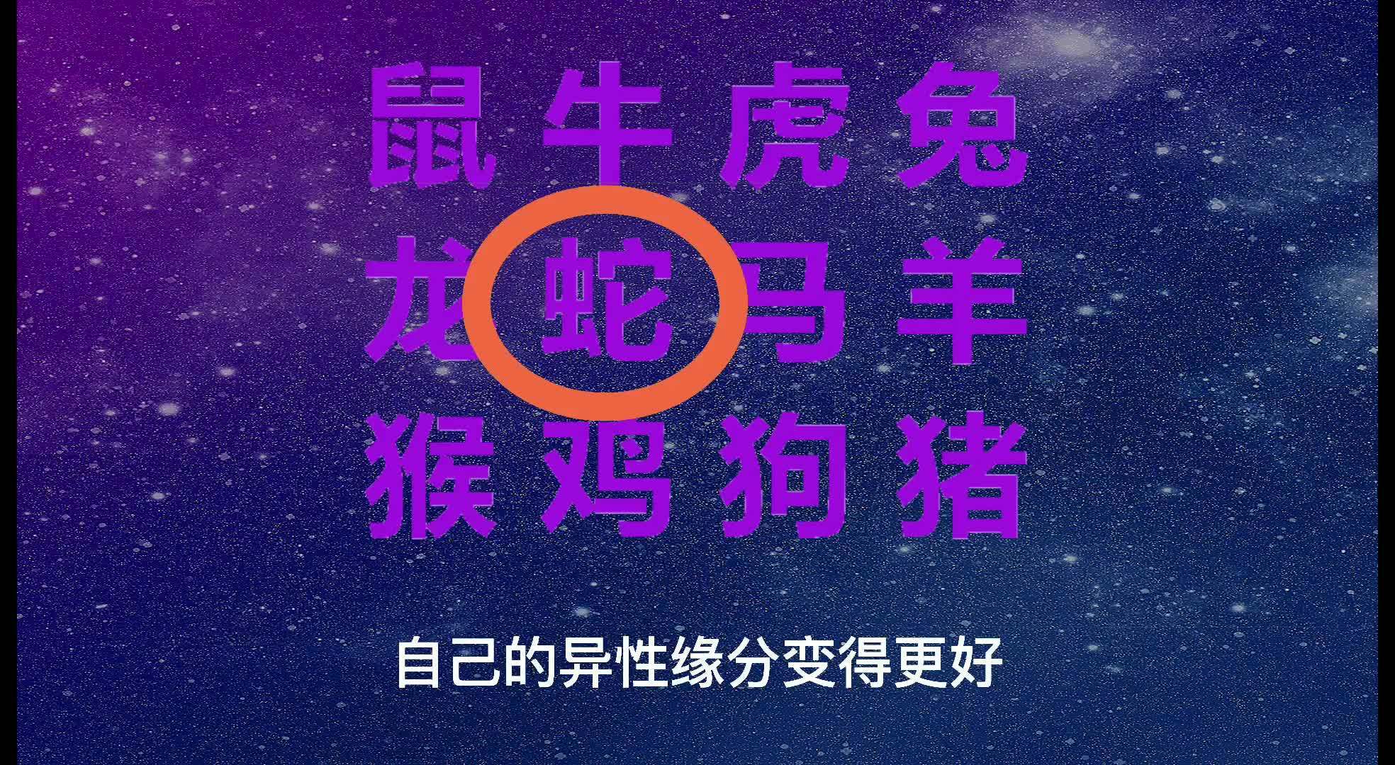 2024澳门今天晚上开什么生肖啊,合理决策评审_豪华款74.635