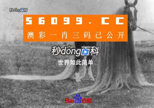 濠江论坛一肖一码,绝对经典解释定义_Phablet23.996