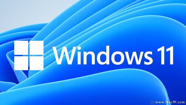 2024新奥正版资料最精准免费大全,迅捷解答方案设计_Windows24.483