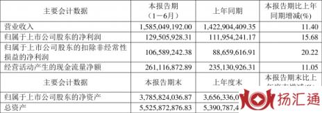 青山纸业最新公告解读与未来发展展望