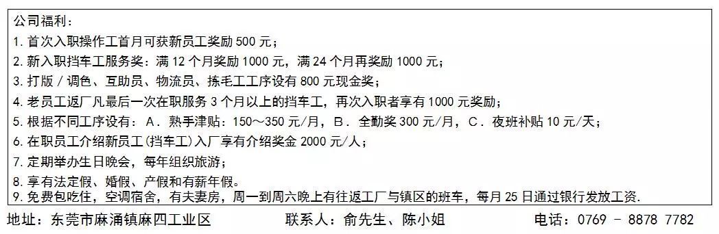 东莞麻涌最新招聘信息总览