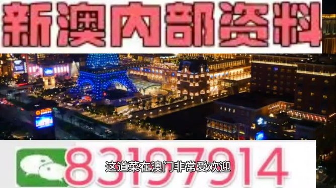 2024年新澳精准资料免费提供网站,重要性解释落实方法_豪华款43.366