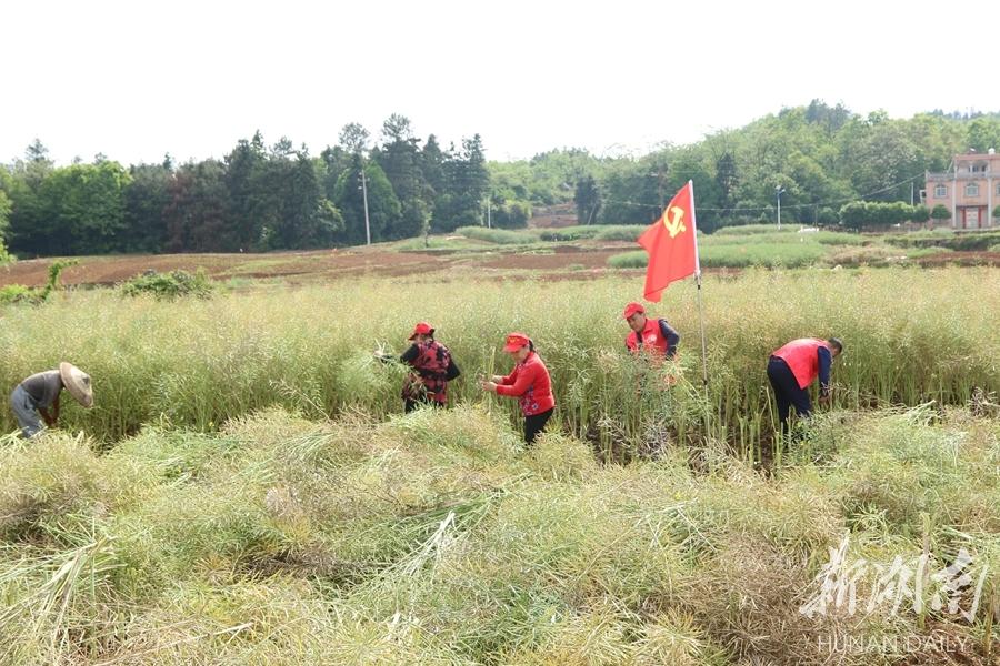 宁远县农业农村局最新发展规划概览