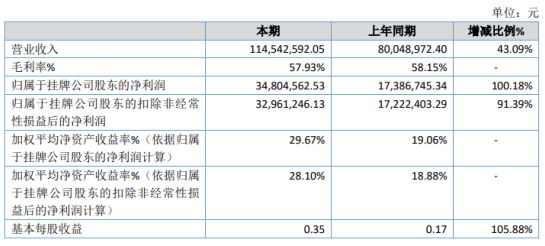 安陆市数据和政务服务局最新项目概览与动态分析