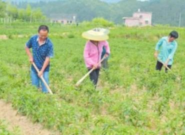 石牛乡全新发展规划揭秘