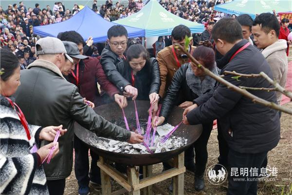 昭通市国土资源局最新招聘信息概览与分析