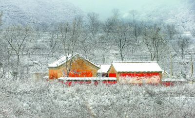 洼雪村交通新闻更新，交通改善助推乡村振兴