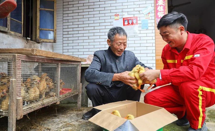 自贡市扶贫开发领导小组办公室新项目，地方经济与社会发展的强大驱动力