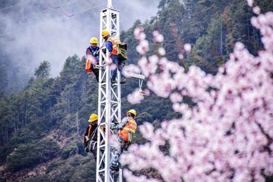 米林县市场监督管理局新项目推动市场监管现代化，助力地方经济飞跃发展