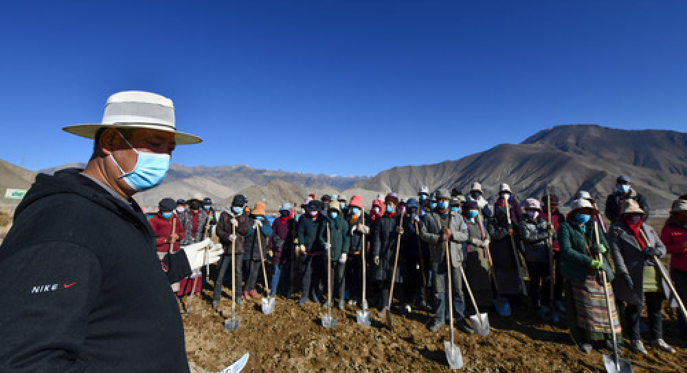 达木珞巴民族乡最新项目，推动地方繁荣与民族发展的双翼飞翔